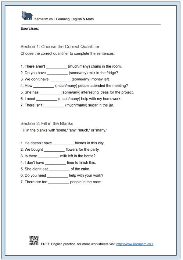 Mini Lesson 025 - Quantifiers_ Some Any Much Many-p2