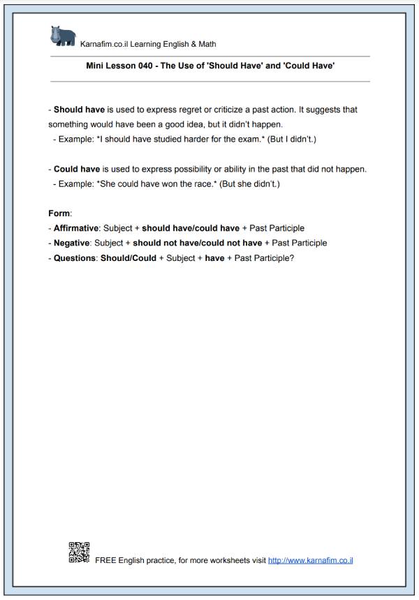 Mini Lesson 040 - The Use of 'Should Have' and 'Could Have'-p1